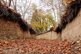 طبیعت پاییزی شیراز