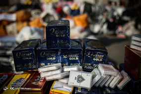 طرح دستگیری سارقان خشن