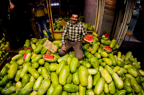 خرید شب یلدا در همدان
