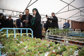مراسم دریافت اولین حقوق زنان بهبود یافته سرای مهر