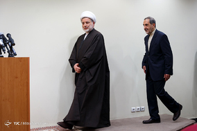 دیدار رییس مجلس اعلای اسلامی عراق با علی اکبر ولایتی