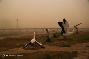 اهواز در گرد و خاک