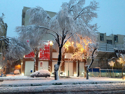 بارش سنگین برف در تهران