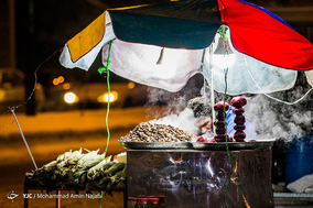بارش شبانه برف در همدان
