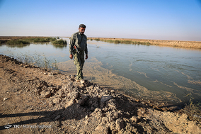 مهاجرت پرندگان به تالاب هور العظیم