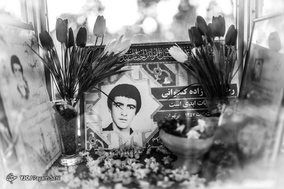 لاله های دشت سپید