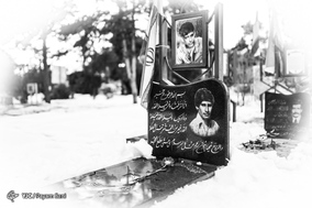 لاله های دشت سپید