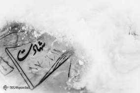 لاله های دشت سپید