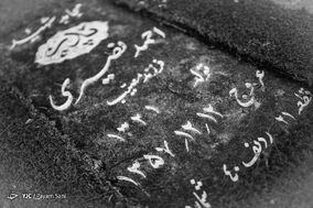 لاله های دشت سپید