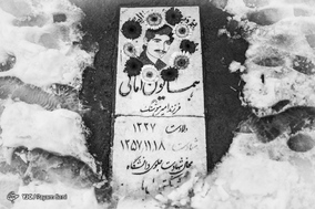 لاله های دشت سپید