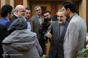 حضور علی اکبر ولایتی در سازمان بازرسی کل کشور