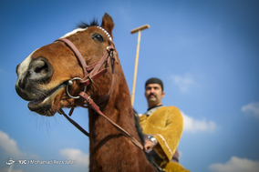 مسابقات نمادین چوگان در میدان نقش جهان به مناسبت دهه فجر