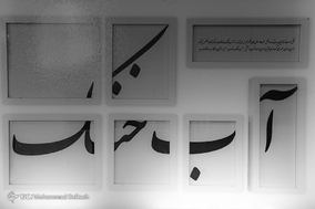 باغ موزه قصر