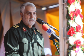 جشن مردمی انقلاب  - کرمان