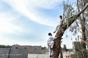 زندگی روستانشینان شهرستان ریگان