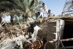 زندگی روستانشینان شهرستان ریگان