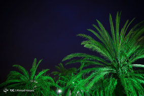 سوگواره نگین شکسته - مشهد