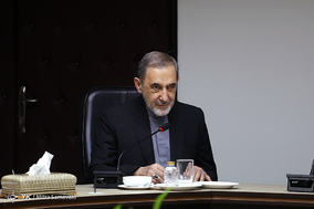 دیدار دکتر ولایتی با وزیر امور خارجه اسپانیا