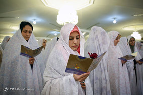 جشن ازدواج دانشجویی «همسفر تا بهشت» در حرم امام رضا (ع)