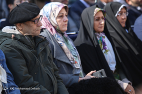 آغاز طرح ساماندهی و احیای درختان چنار خیابان ولیعصر(عج)