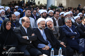 آغاز طرح ساماندهی و احیای درختان چنار خیابان ولیعصر(عج)
