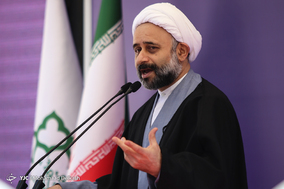 آغاز طرح ساماندهی و احیای درختان چنار خیابان ولیعصر(عج)