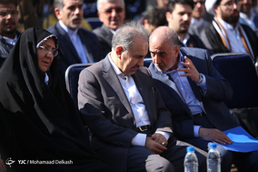 آغاز طرح ساماندهی و احیای درختان چنار خیابان ولیعصر(عج)