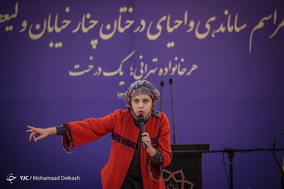 آغاز طرح ساماندهی و احیای درختان چنار خیابان ولیعصر(عج)