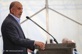 آغاز طرح ساماندهی و احیای درختان چنار خیابان ولیعصر(عج)