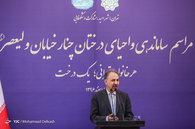 آغاز طرح ساماندهی و احیای درختان چنار خیابان ولیعصر(عج)