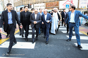 آغاز طرح ساماندهی و احیای درختان چنار خیابان ولیعصر(عج)