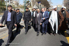 آغاز طرح ساماندهی و احیای درختان چنار خیابان ولیعصر(عج)