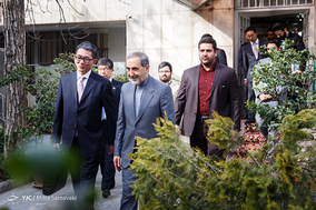 دیدار دکتر ولایتی با معاون وزیر امور خارجه ژاپن