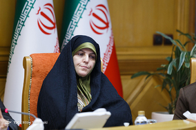 نود و هشتمین جلسه شورای اجتماعی کشور