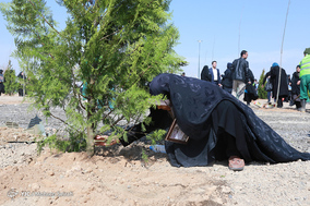 مراسم هفته درختکاری با حضور خانواده های معظم شهدا و ایثارگران