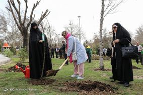 کاشت ۳۵۰۰ درخت و نصب ۳۰۰ لانه پرندگان در بوستان بعثت