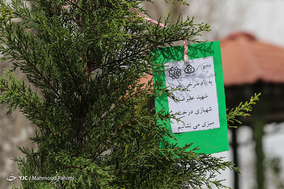 کاشت ۳۵۰۰ درخت و نصب ۳۰۰ لانه پرندگان در بوستان بعثت