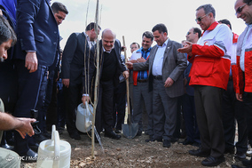 نشست خبری