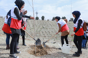 نشست خبری