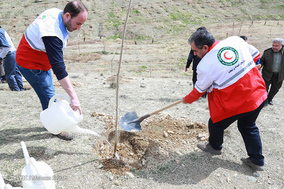 نشست خبری