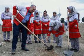 نشست خبری