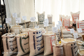 دوازدهمین نمایشگاه زنان و تولید ملی