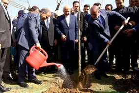 کاشت درخت صلح و دوستی با حضور هیات های دیپلماتیک