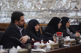 دیدار زنان مجلس شورای اسلامی با لاریجانی