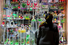 بازار  ماهی قرمز - مشهد