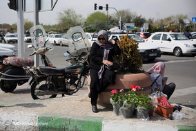 بازار گل و گیاه در آستانه نوروز