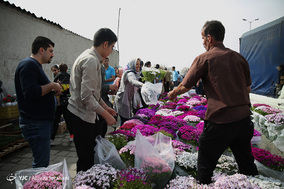 بازار گل و گیاه در آستانه نوروز