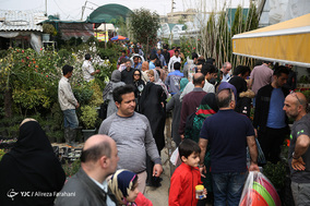 بازار گل و گیاه در آستانه نوروز