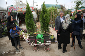 بازار گل و گیاه در آستانه نوروز