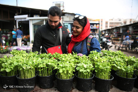 بازار گل و گیاه در آستانه نوروز